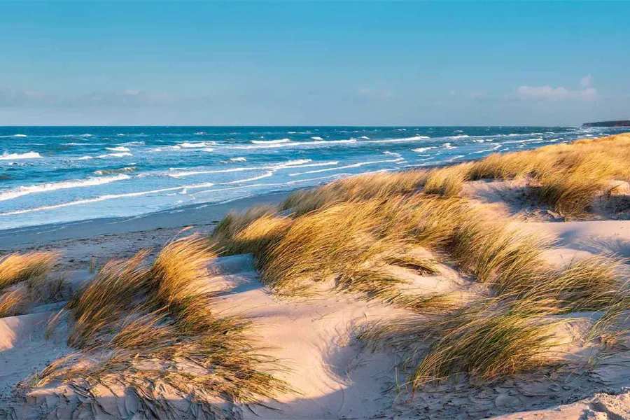 Dünenlandschaft mit Strandhafer und Blick auf die Ostsee.