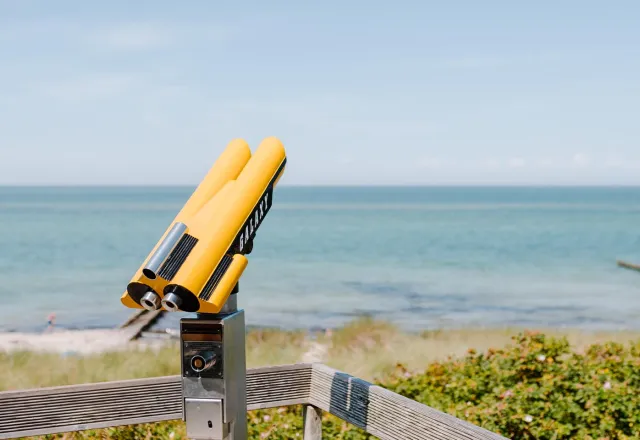 Ein Hut, ein Stock, ein Wandertag in Ahrenshoop!