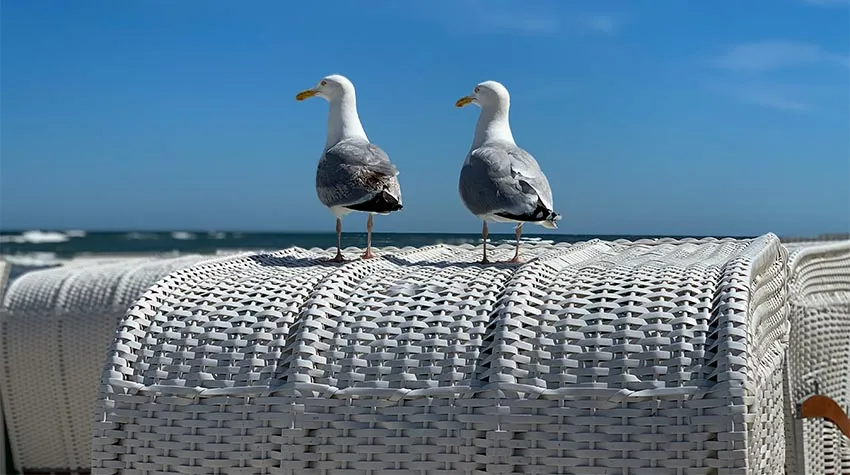 In einem Strandkorb kann man sich einfach hinsetzten und genießen. © Shutterstock, Lapa Smile