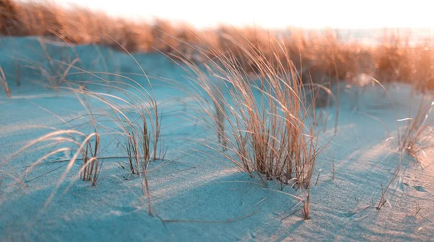 Am Strand entlang zu laufen, kann auch bedeuten, den Alltag ganz hinter sich zu lassen.