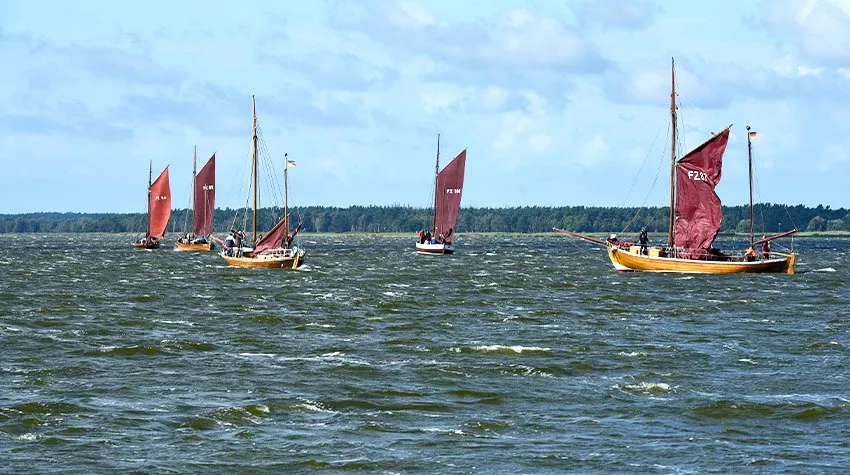 Auf Fischland-Darß-Zingst werden auch Ausfahrten mit den Zeesbooten angeboten. © Shutterstock, Manfred Ruckszio
