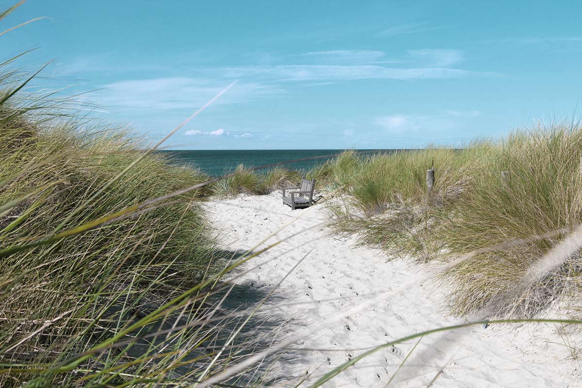 Sandweg durch die Dünen mit Blick auf die Ostsee bei Ahrenshoop.