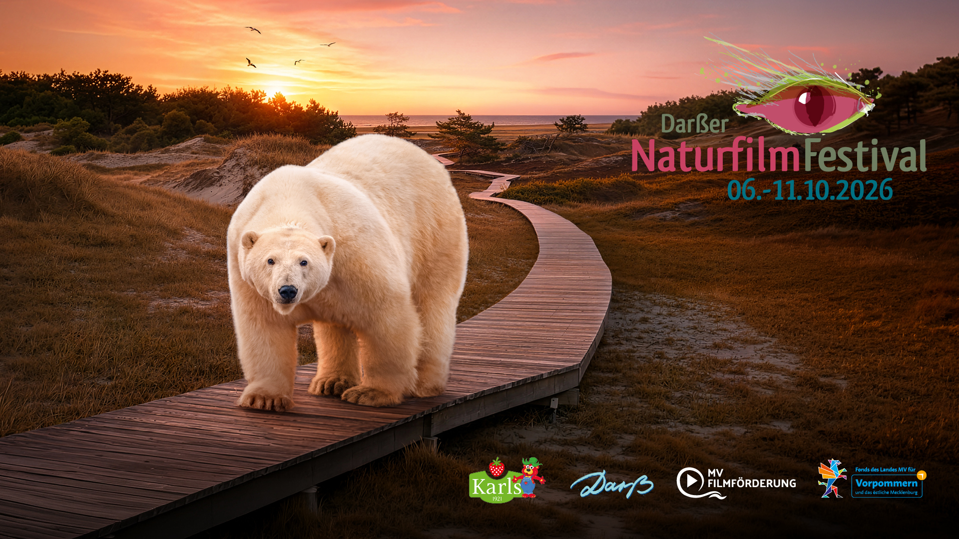 Plakat zum Darßer NaturfilmFestival mit Eisbär auf Holzsteg und Termin vom 6. bis 11. Oktober 2026