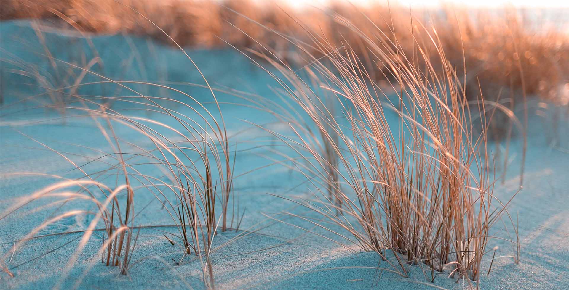 Euer Zuhause am Meer<br>im THE GRAND Ahrenshoop