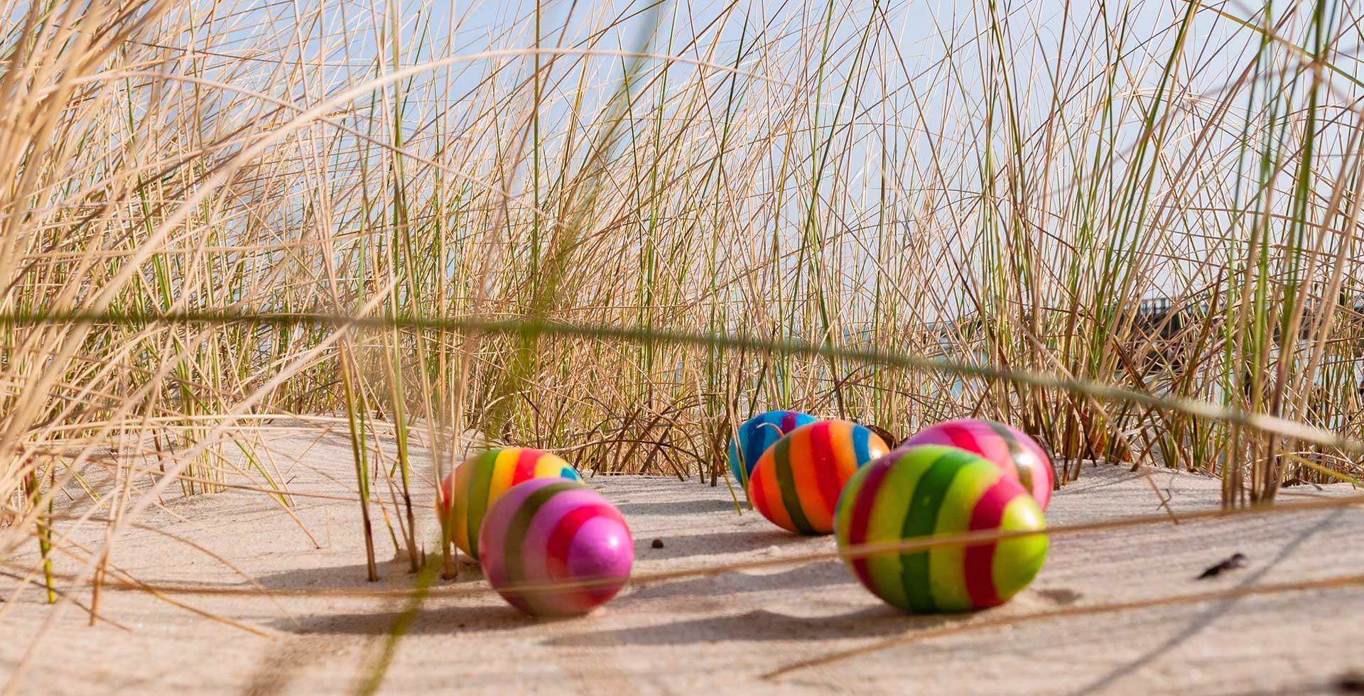 Bunt gestreifte Ostereier im Sand zwischen Strandhafer in den Dünen an der Ostsee, Osterangebot im THE GRAND Ahrenshoop